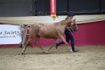 SBM_04977