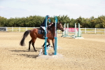 SBM_000231