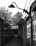 Auschwitz fence and buildings 3 bw
