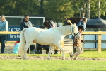 SBM_57368