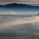 Landscape-069
