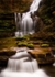 scaleber force