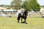 SBM_07134