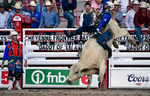 Championship Sunday Rodeo Perf - July 30th portfolio