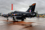 HAWK 01