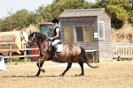 SBM_001428