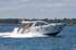 170902 BILLY BOB - SEALINE SC35 1Y3A0808_Edit