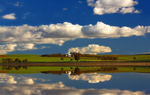 Porter Lagoon Reflections-2-7859