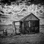 DUNGNESS 1