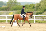 SBM_001406_Class 7 - Novice 5