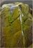 Packet Stone