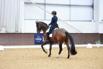 SBM_006950