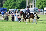 SBM_11671