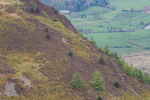 Lords Seat-8