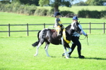 SBM_37098