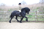SBM_006291