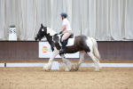 SBM_000764