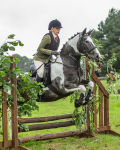 Dunblane show-188