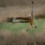 3 Right Angled Kite 16 