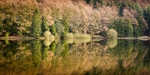 Trentabank reservoir reflections (3)