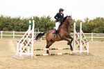 SBM_007239