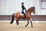 SBM_002910