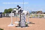 BPP_1585