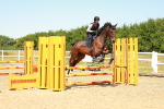 SBM_006078