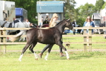 SBM_00794