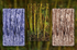 Bamboo-1-Triptych-HDR