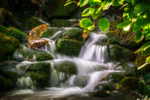 z2819 Bonchurch Stream