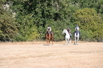 WJ6_7218