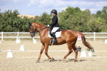 SBM_015262