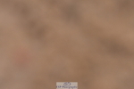 240121A-110603-00545