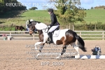 BPP_8896