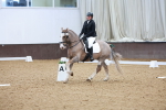 SBM_000954