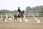 SBM_004639