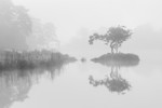 _MG_0805