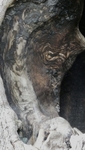 Harry Potter Tree Hole, Detail