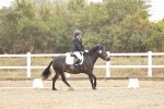 SBM_001117
