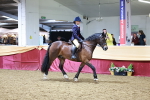 SBM_20019