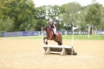 E9 - Eventers Challenge 60cm Championship portfolio