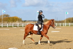 SBM_000967