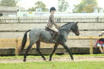 SBM_62582