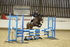 AJG_0833_1