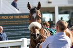 080624-Race 6-Tatterstall-5044
