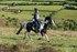 SPXX0799