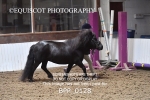 BPP_0128