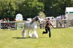 SBM_08532