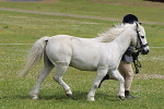 SIAL6438
